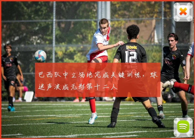 巴西队中立场地完成关键训练，球迷声浪成无形第十二人